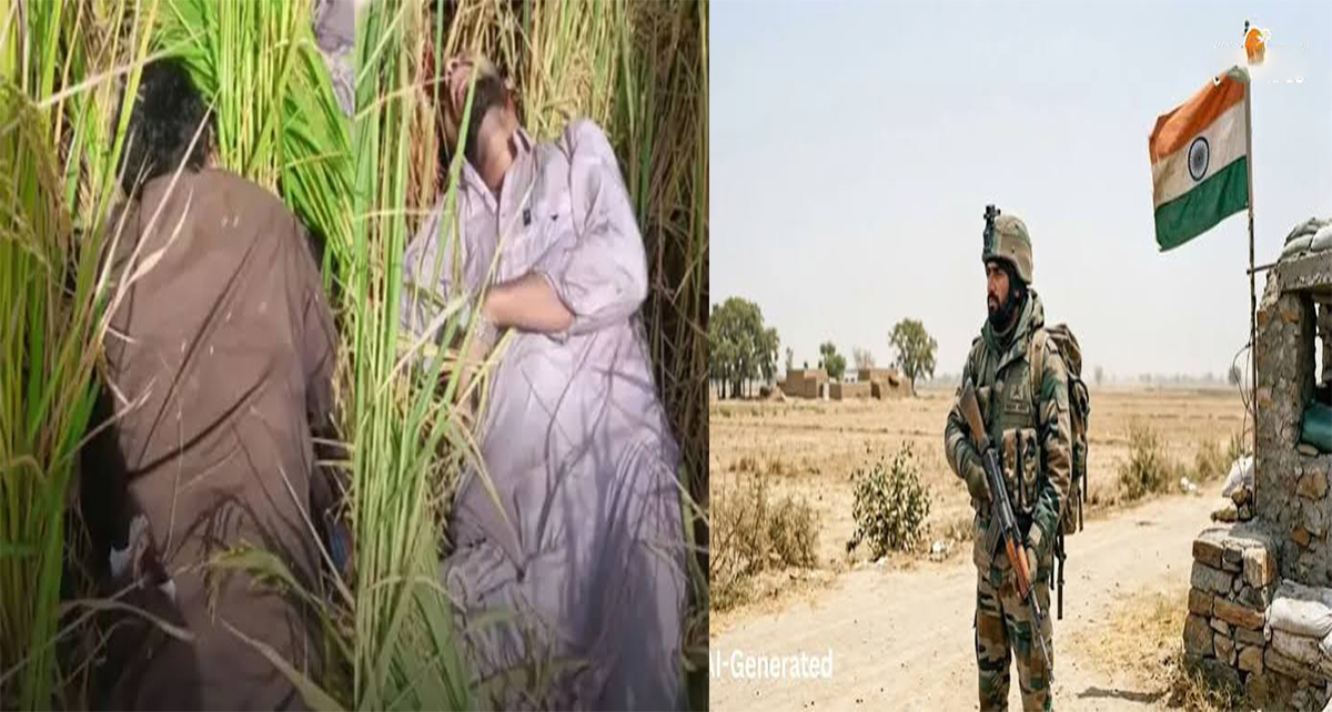 तरनतारन सीमा पर घुसपैठ की कोशिश नाकाम, BSF की फायरिंग में दो पाकिस्तानी तस्कर ढेर