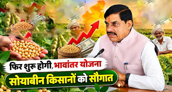 सोयाबीन उत्पादकों को राहत: मध्य प्रदेश में भावांतर भुगतान योजना फिर शुरू, कराएं नि:शुल्क पंजीयन