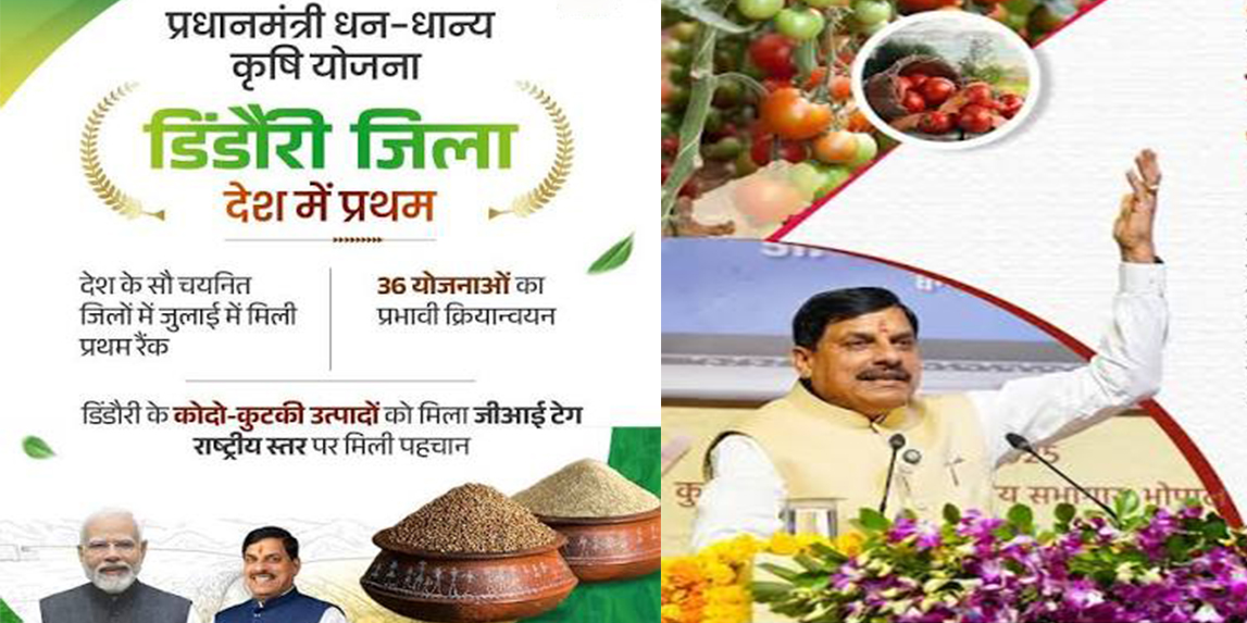 मध्य प्रदेश का डिंडौरी बना देश का नंबर-1 जिला, प्राकृतिक खेती और मिलेट्स को मिली नई उड़ान