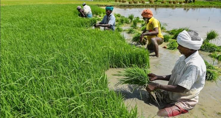 राजस्थान और तेलंगाना के किसानों को केंद्र की बड़ी सौगात: कृषि योजनाओं के लिए ₹605.71 करोड़ जारी