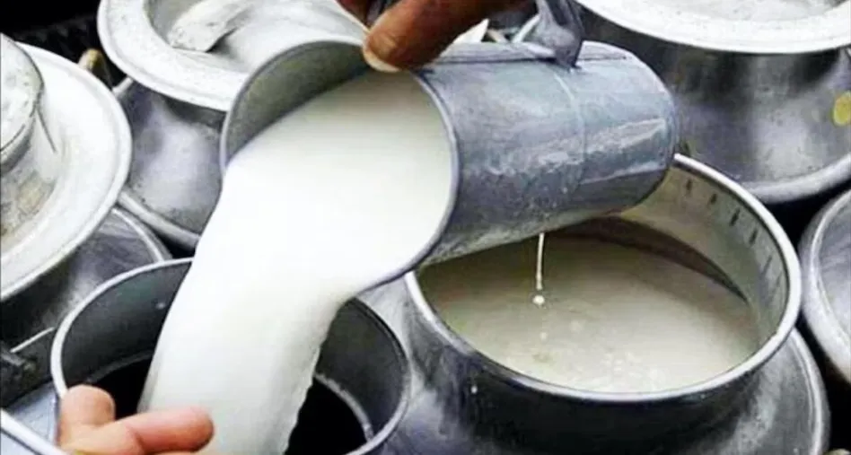 1 नवंबर से महंगा होगा दूध: ₹8 प्रति लीटर बढ़ोतरी को मंजूरी, किसानों को मिलेगा बड़ा फायदा