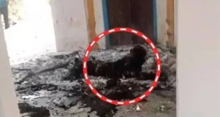 शाहजहांपुर में सनसनी: प्राचीन मंदिर के दो सेवादारों की निर्मम हत्या, शवों को जलाया