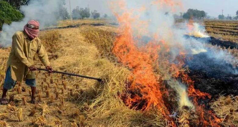 विदिशा में ‘किसान बनेगा ऊर्जादाता’: 3 विकासखंडों में लगेंगे CBG प्लांट, नरवाई से बनेगी बायोगैस