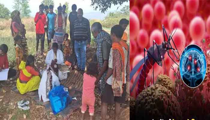 छत्तीसगढ़: बस्तर में 'मिक्स मलेरिया' का बढ़ा खौफ: इस साल 8,426 मरीज मिले, एक साथ दो परजीवियों का हमला, दिमाग, किडनी और लीवर पर असर