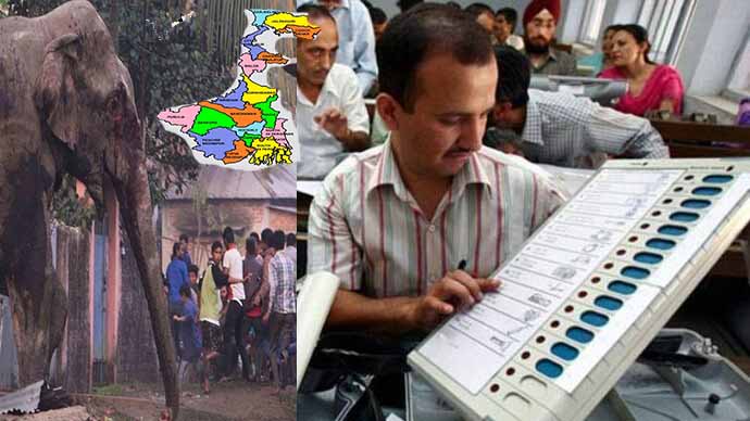 बंगाल : पहले चरण में भारी उत्साह, कहीं ईवीएम ने थामी रफ्तार तो कहीं 'गजराज' ने डाली खलल