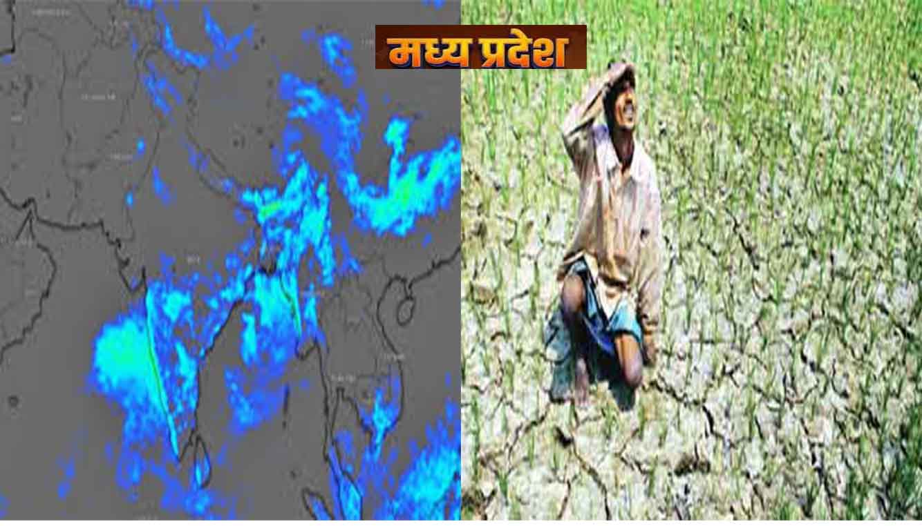 एमपी में रूठा मानसून: जून में 52% कम बरसे बदरा, 48 जिलों में सूखा संकट; बोवनी थमी
