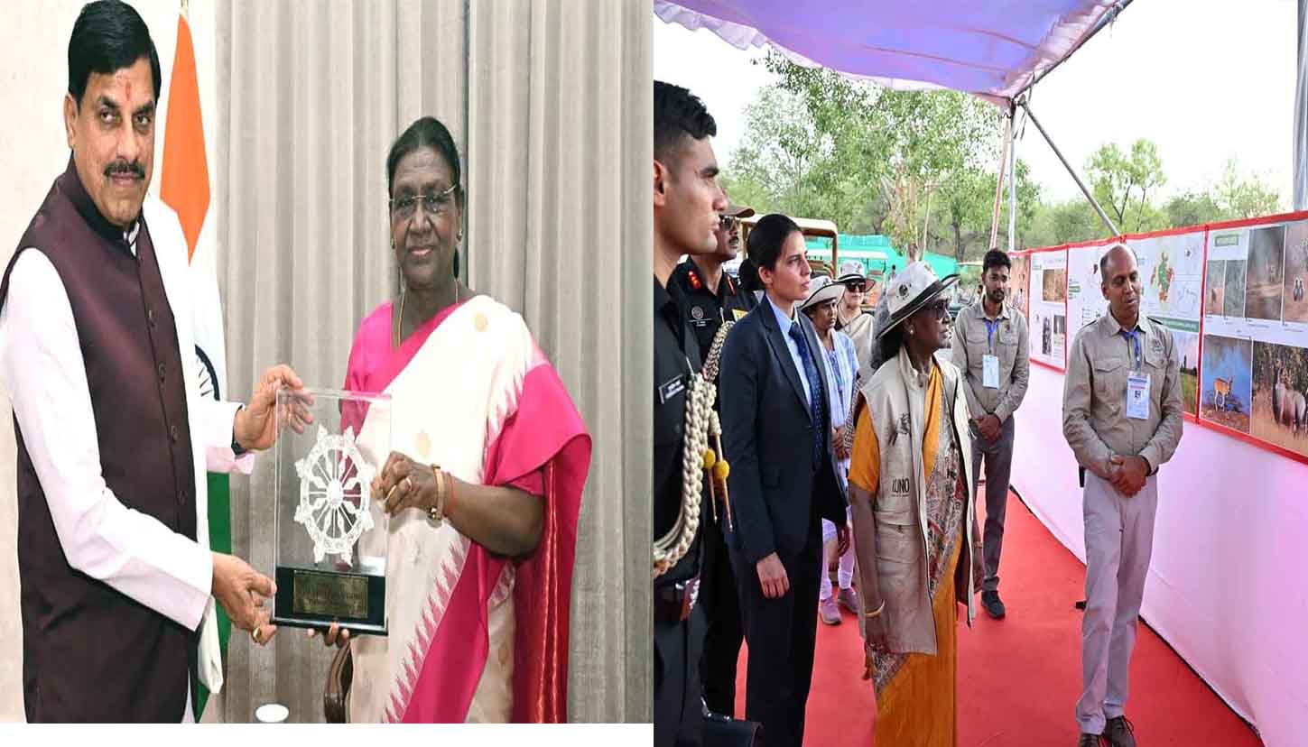 कूनो नेशनल पार्क पहुंचीं राष्ट्रपति द्रौपदी मुर्मू: 'चीता प्रोजेक्ट' की प्रगति का लिया जायजा, जबलपुर में सीएम डॉ. मोहन यादव से हुई आत्मीय मुलाकात