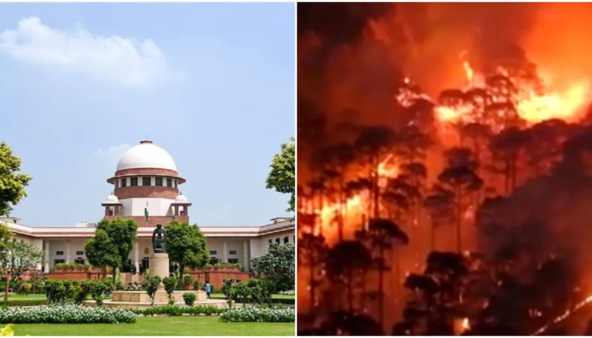 धधक रहे उत्तराखंड के जंगल और वनकर्मी 'जनगणना' ड्यूटी पर! सुप्रीम कोर्ट के आदेश की अवहेलना पर NGT सख्त