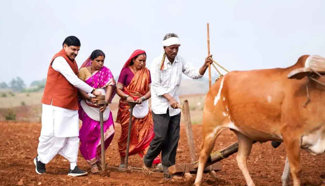 पर्यटन के वैश्विक क्षितिज पर चमकेगा बैतूल का 'कुकरू हिल स्टेशन', मुख्यमंत्री मोहन यादव ने किया बड़ा ऐलान