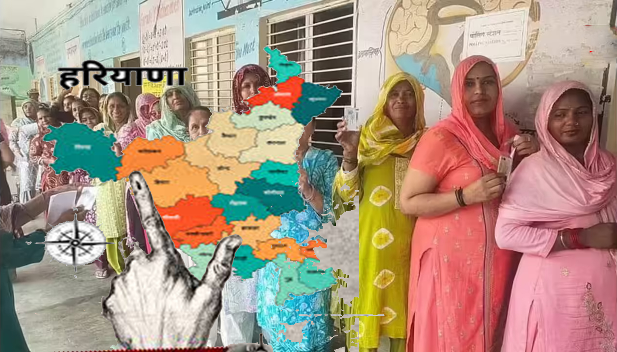हरियाणा निकाय चुनाव: लोकतंत्र के उत्सव में रोहतक और हिसार अव्वल, 54.4% मतदाताओं ने डाले वोट