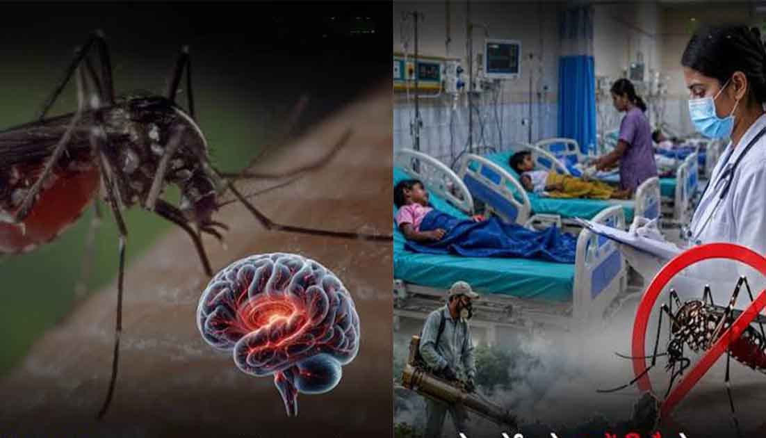 रांची के बेलबेड़ा में 'ब्रेन मलेरिया' का खौफ: 51 में से 17 ग्रामीण संक्रमित, 'जड़ी-बूटी के भरोसे दवा से इनकार
