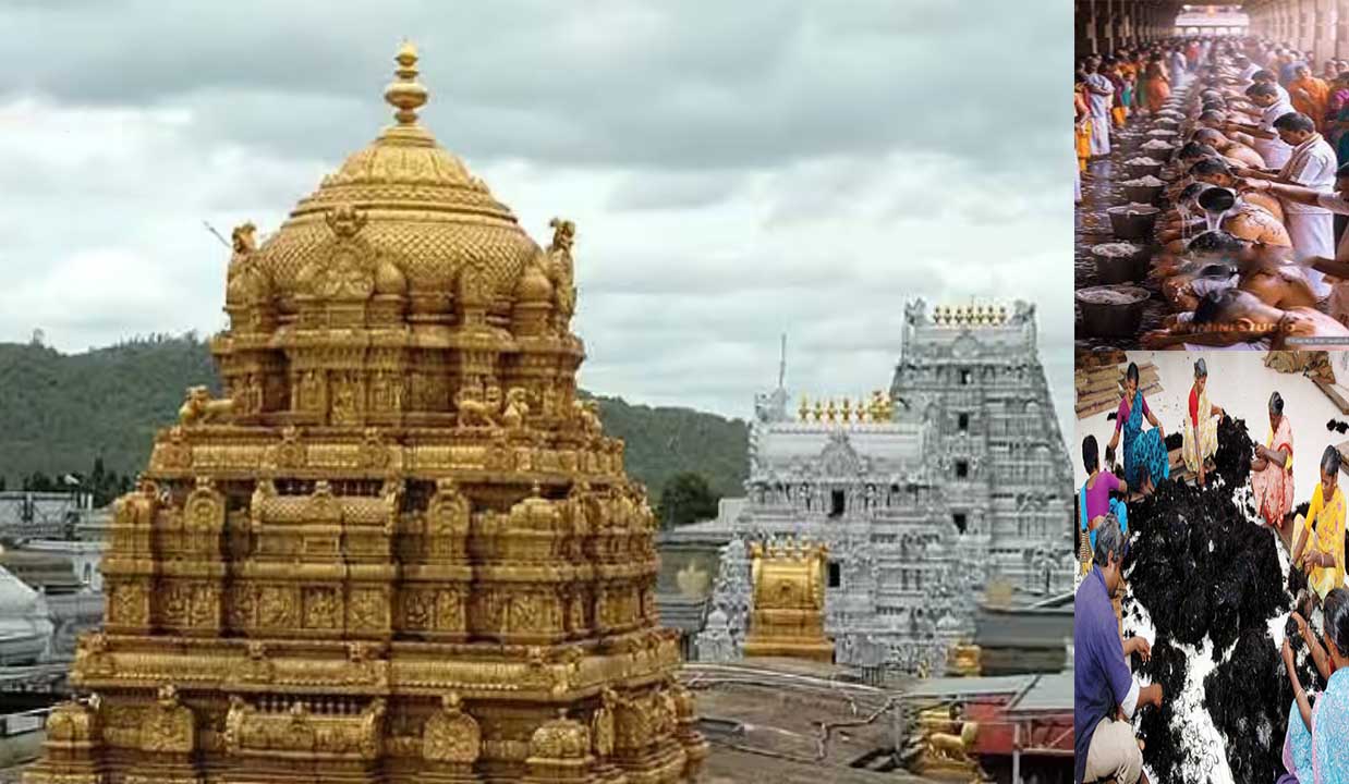 आस्था का अनोखा रिकॉर्ड: तिरुपति बालाजी में भक्तों ने किया केश दान, बेचेगा 283 टन मानव बाल ,₹176 करोड़ की बंपर आय का अनुमान!