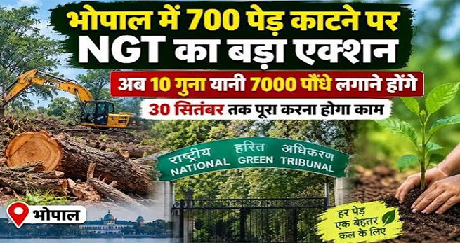 भोपाल वेटलैंड पेड़ कटाई मामला: NGT का सख्त रुख, वन विभाग को काटे गए 700 पेड़ों के बदले 7000 पौधे लगाने के निर्देश