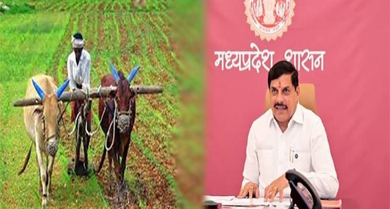 मध्यप्रदेश: शिवपुरी में बलराम कृषि महोत्सव का आयोजन, सीएम डॉ. मोहन यादव ने की कई बड़ी घोषणाएं