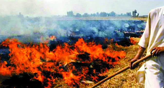 पर्यावरण संरक्षण और कृषि: इंदौर में नरवाई जलाने पर 15,000 रुपये तक का जुर्माना