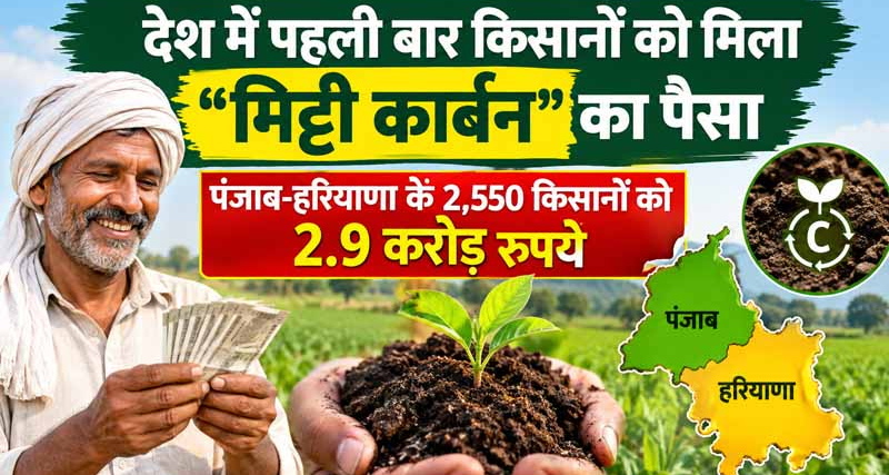 देश में पहली बार किसानों को मिला 'मिट्टी कार्बन' का पैसा: पंजाब-हरियाणा के 2,550 किसानों को मिले ₹2.9 करोड़